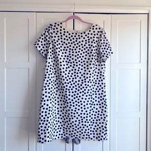 JCrew Factory navy and white polka dot dress